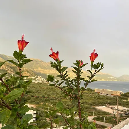 Odore Di Mare Apartmán Qëparo
